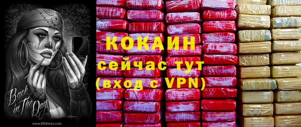 не бодяженный Богданович