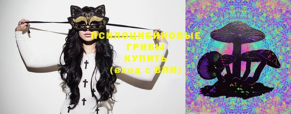 не бодяженный Богданович