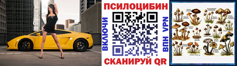 Купить где  Реж  Галлюциногенные грибы прущие грибы 