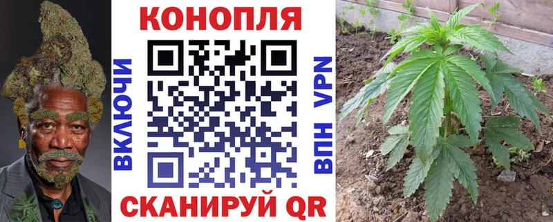 Купить где  Реж  Каннабис SATIVA & INDICA 